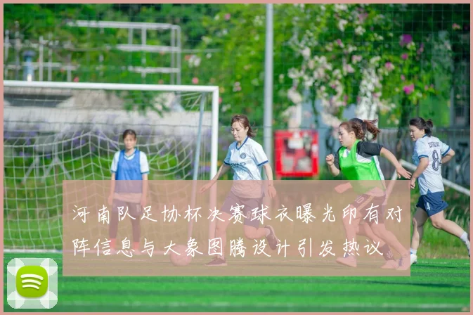 河南队足协杯决赛球衣曝光印有对阵信息与大象图腾设计引发热议