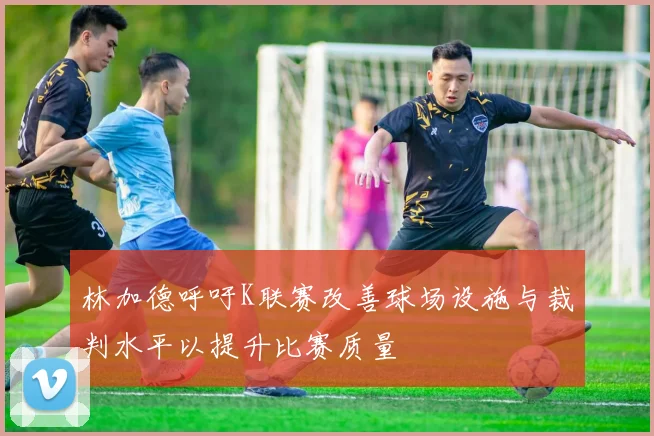 林加德呼吁K联赛改善球场设施与裁判水平以提升比赛质量
