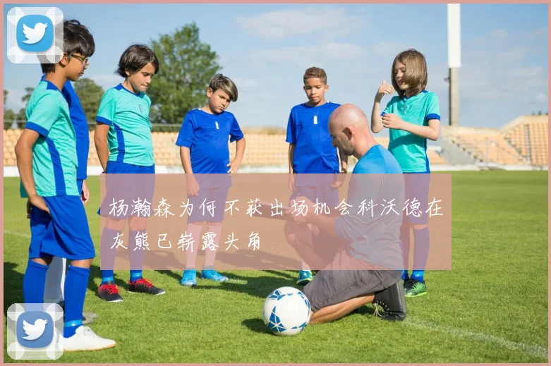 杨瀚森为何不获出场机会科沃德在灰熊已崭露头角