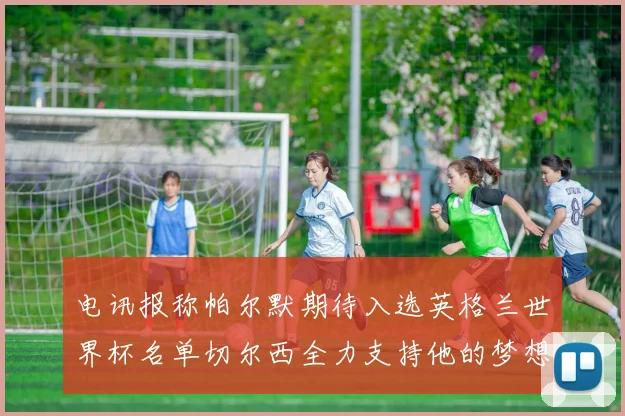 电讯报称帕尔默期待入选英格兰世界杯名单切尔西全力支持他的梦想