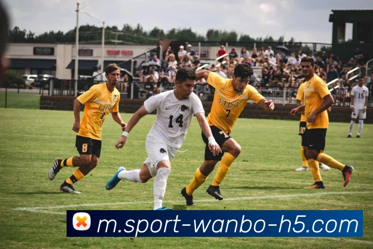 万博体育平台生态图