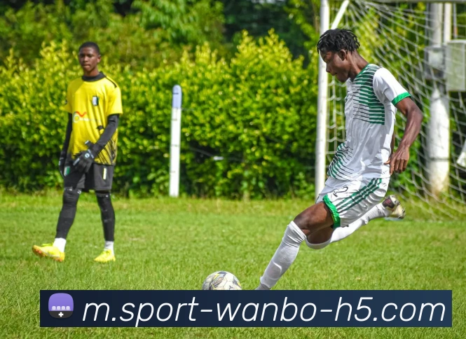 万博体育APP 封面图